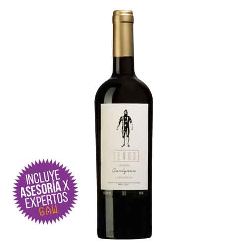 Villa Señor Kenos Reserva Carignan