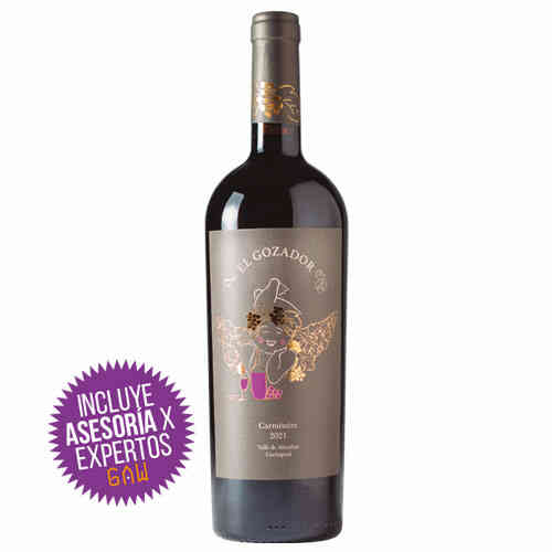 Santa Ema Gran Reserva Carménère