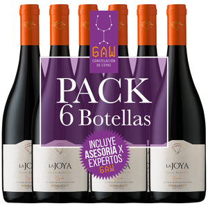 Pack Vinos Bisquertt La Joya Syrah Gran Reserva