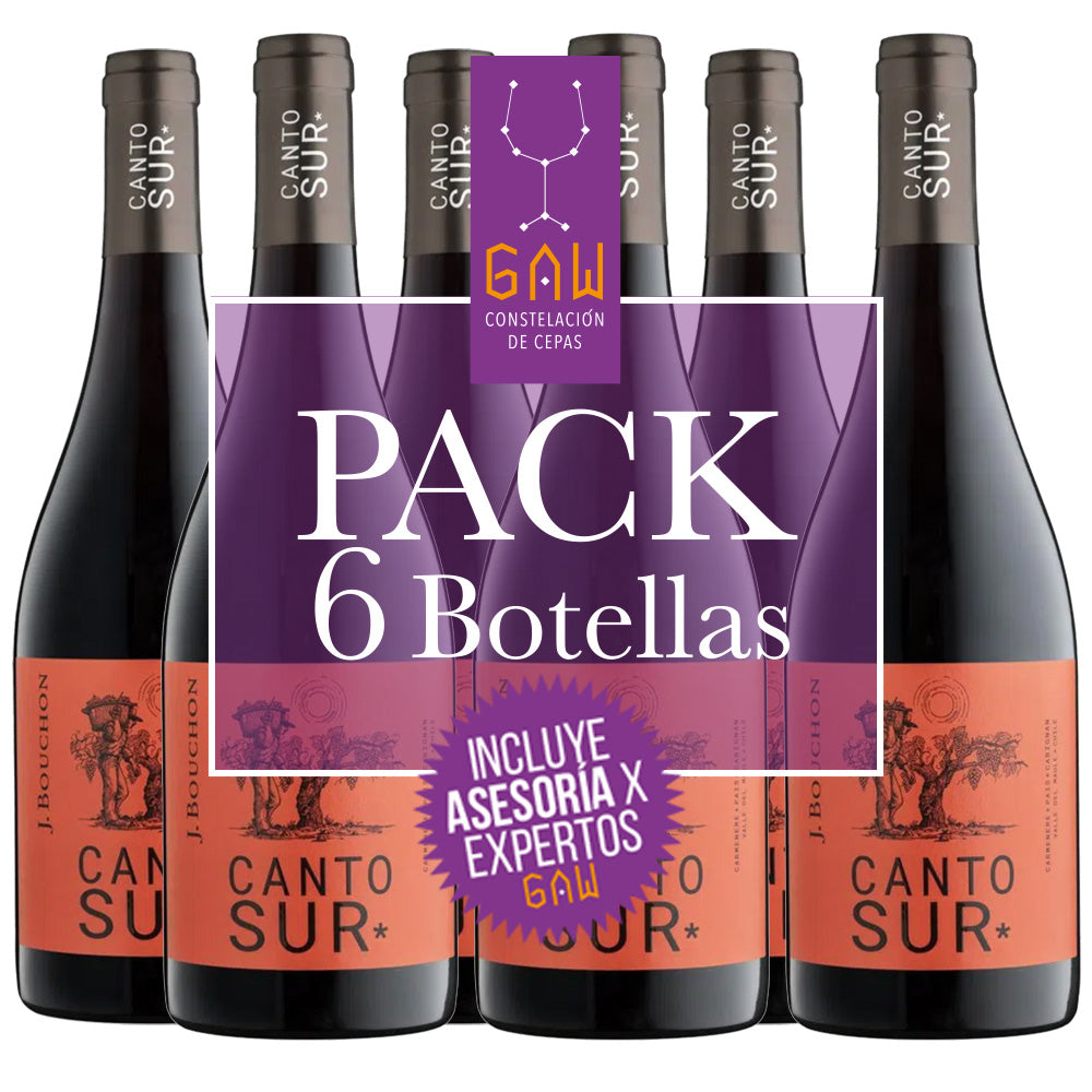J. Bouchón Canto Sur Blend Gran Reserva Wine Pack